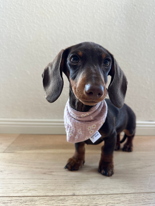 Musselin Halstuch FLORA