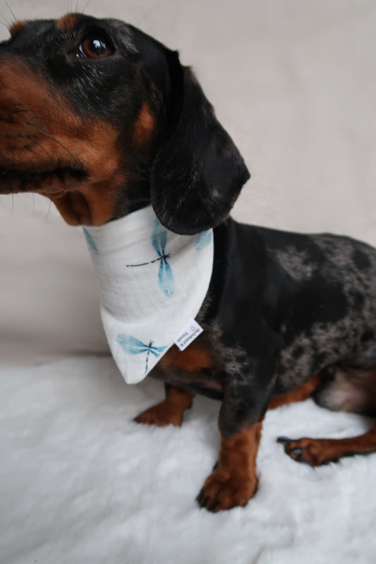 Musselin Halstuch JOY