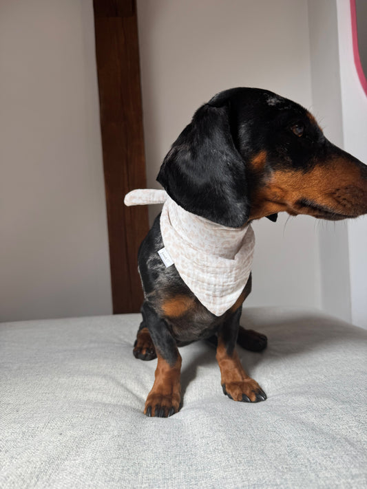 Musselin Halstuch LEO hell