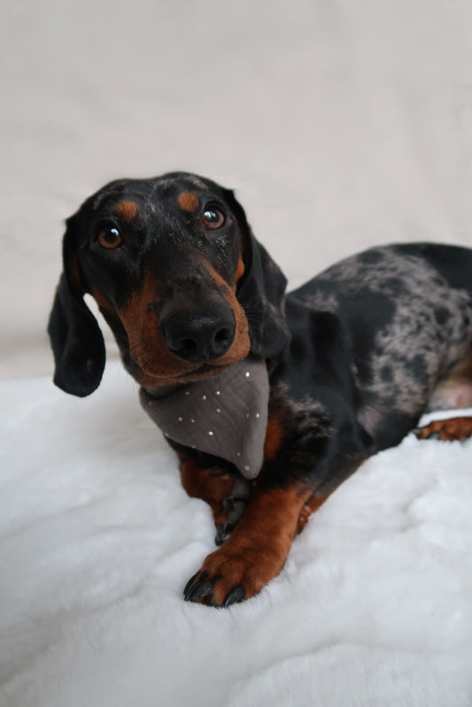 Musselin Halstuch KHAKI GOLDEN DOTS