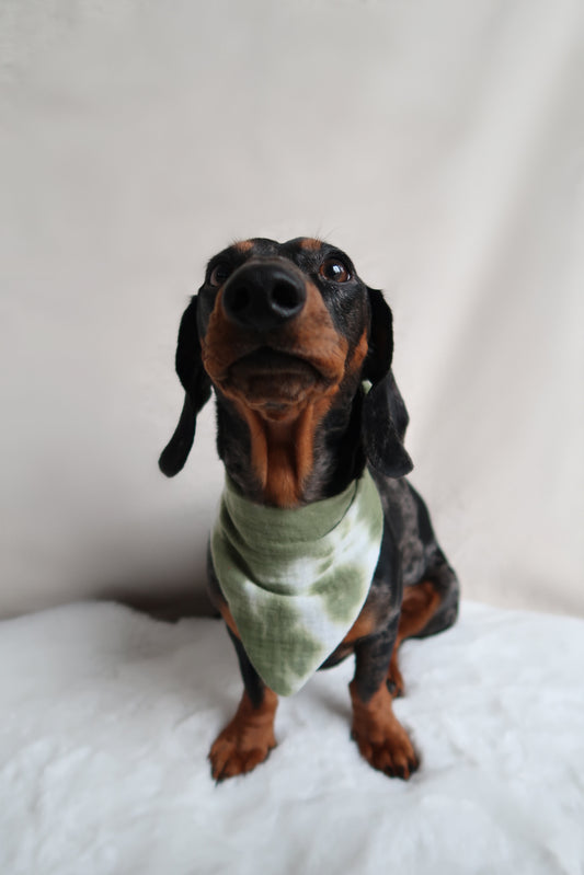 Musselin Halstuch OLE