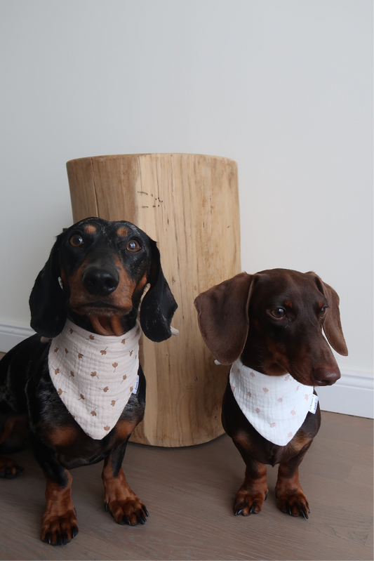 Musselin Halstuch LEAVES