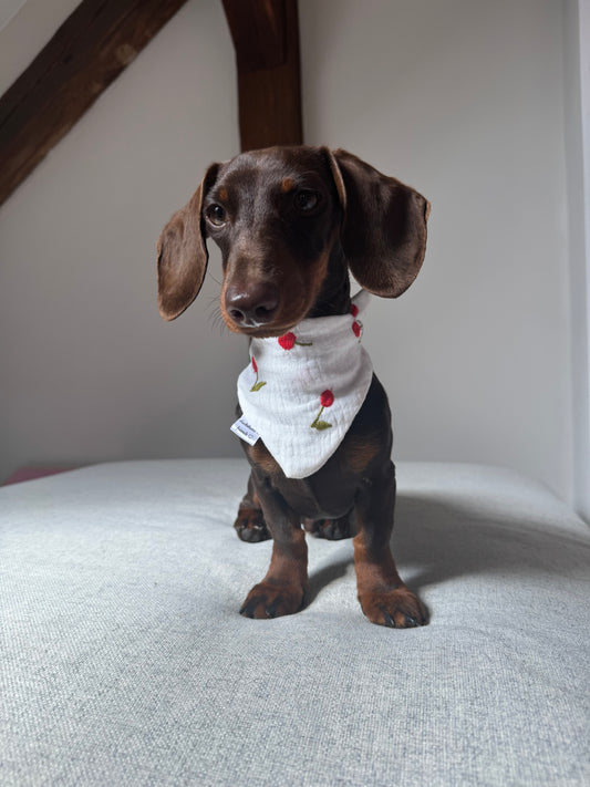 Musselin Halstuch CHERRY