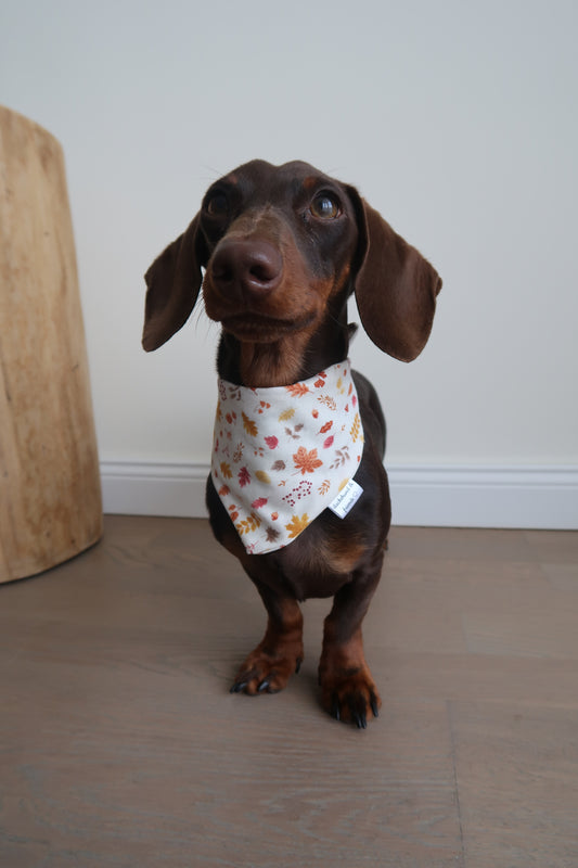 Halstuch AUTUMN LEAVES