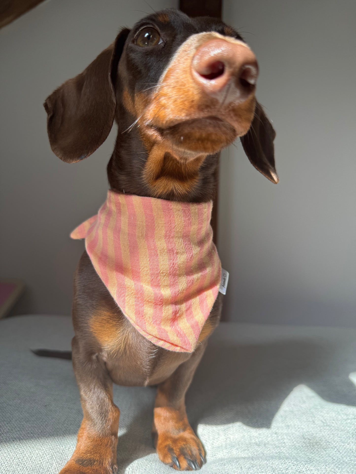 Musselin Halstuch HERMINE