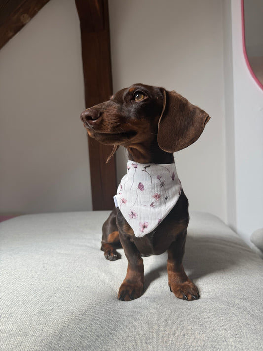 Musselin Halstuch WILDFLOWERS