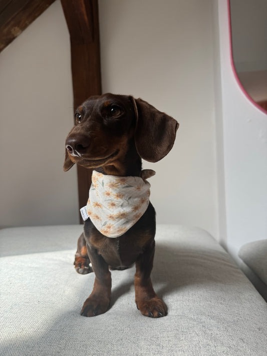 Musselin Halstuch SUNNY