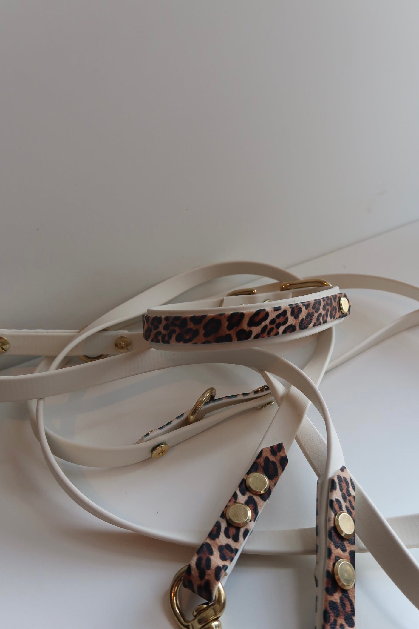 BioThane Hundeleine Leo-Edition