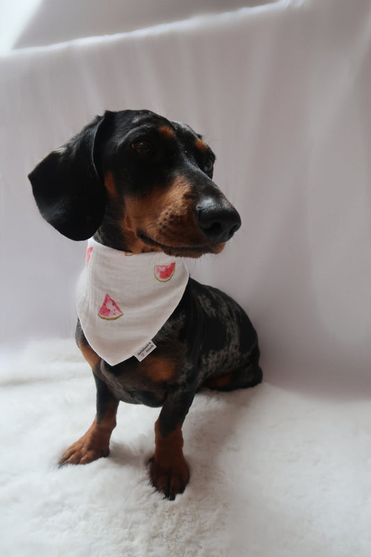 Musselin Halstuch MELANIE