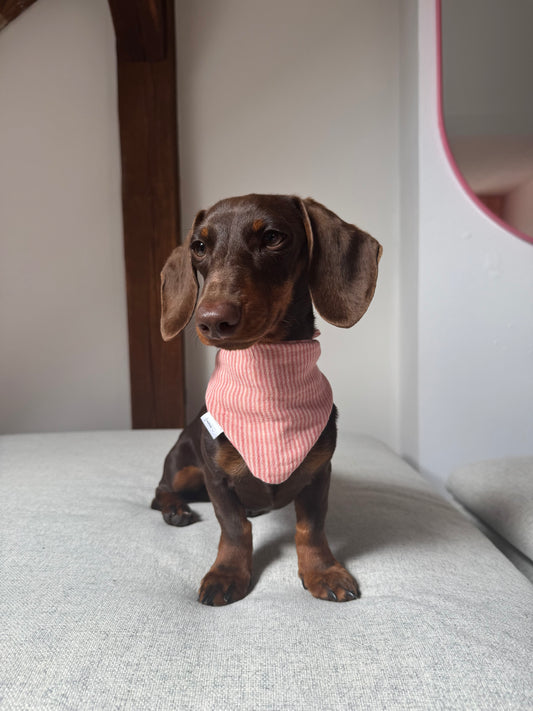 Musselin Halstuch HERMINE