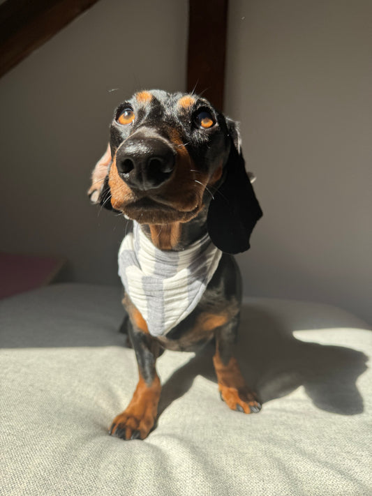 Musselin Halstuch SYLT