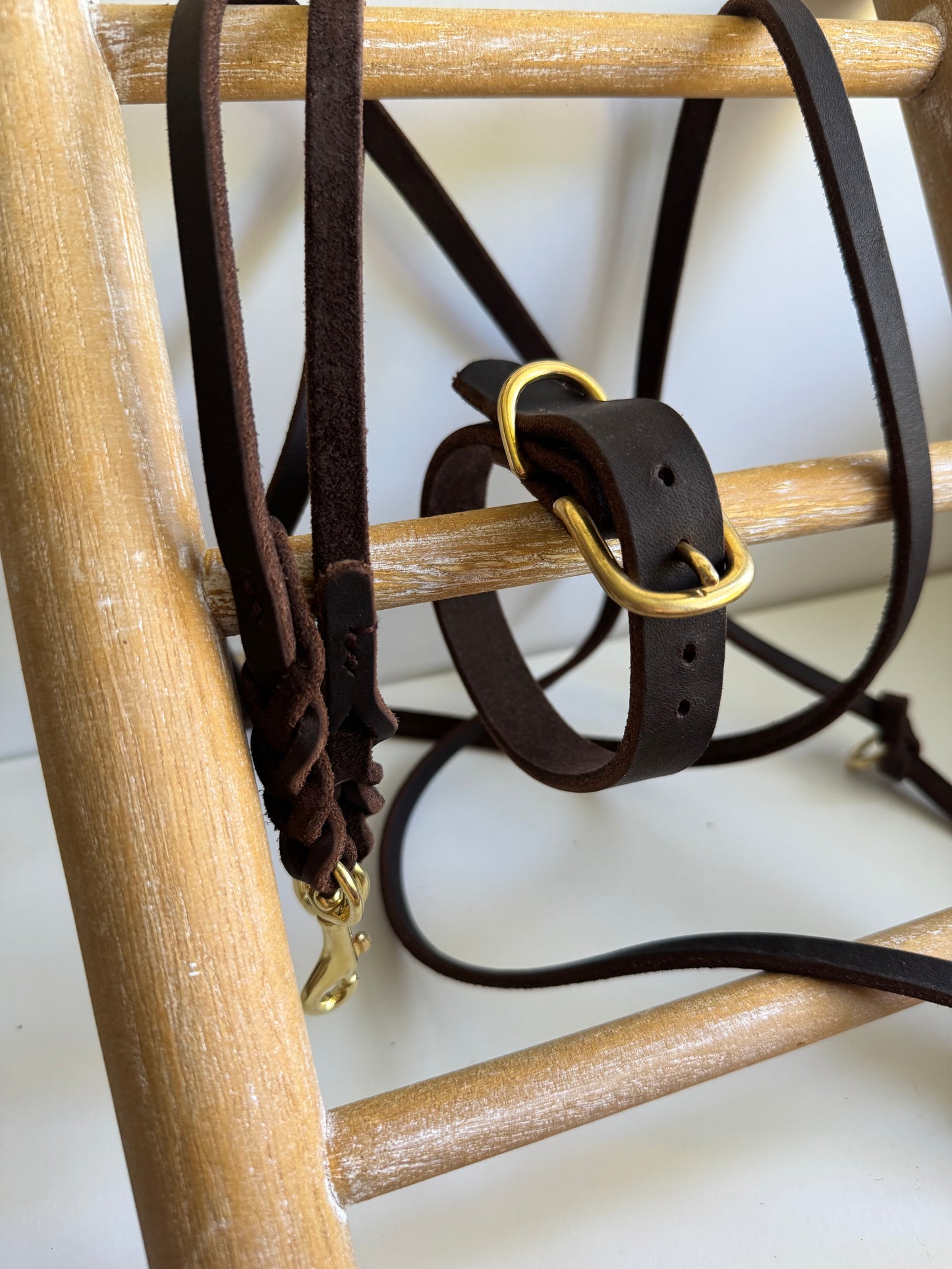 Fettleder Halsband basic