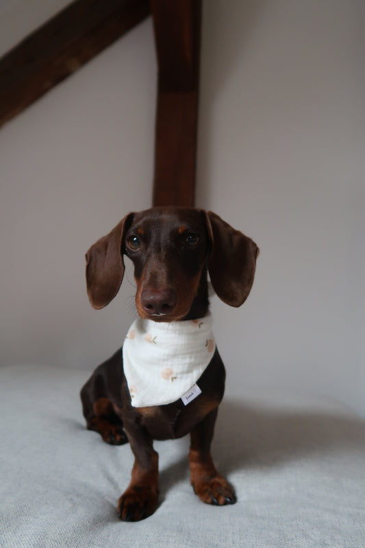 Musselin Halstuch PEACH