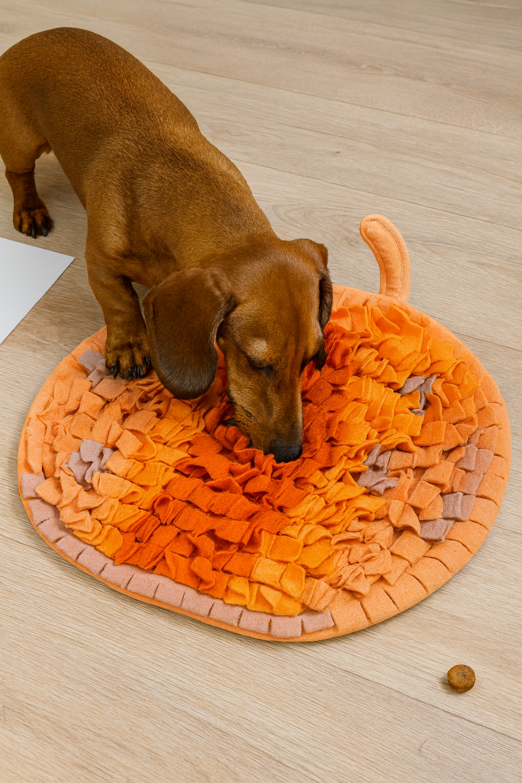 Schnüffelteppich Kürbis