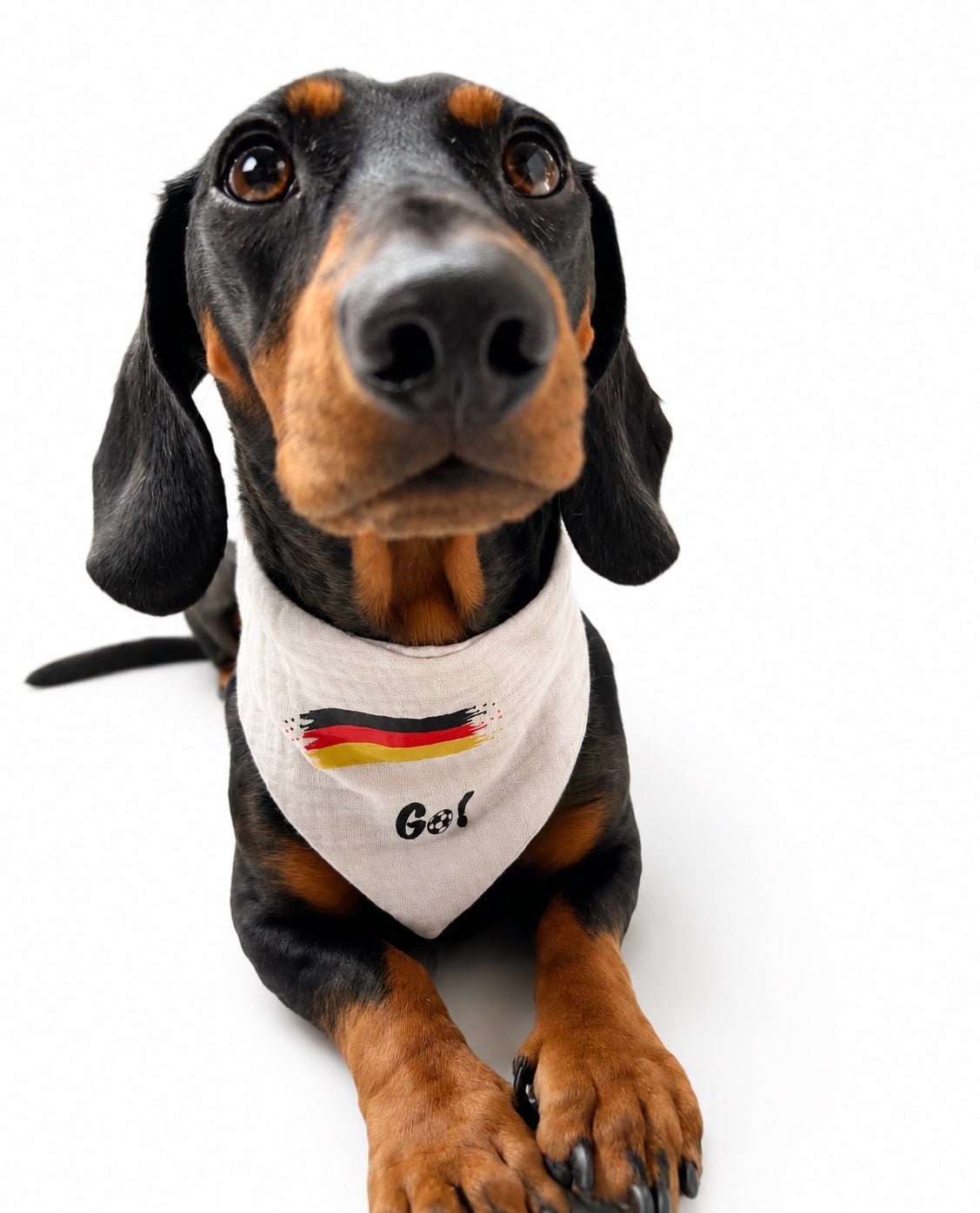 WM - Deutschland Aufdruck für Halstücher