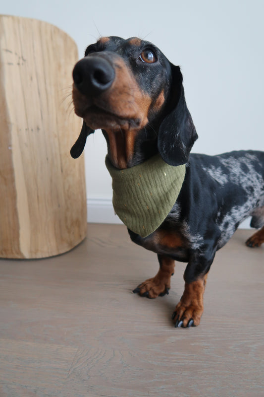 Musselin Halstuch KHAKI GOLD