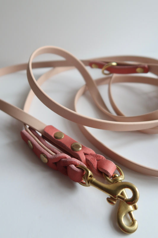 Mix & Match - BioThane x Fettleder Leine