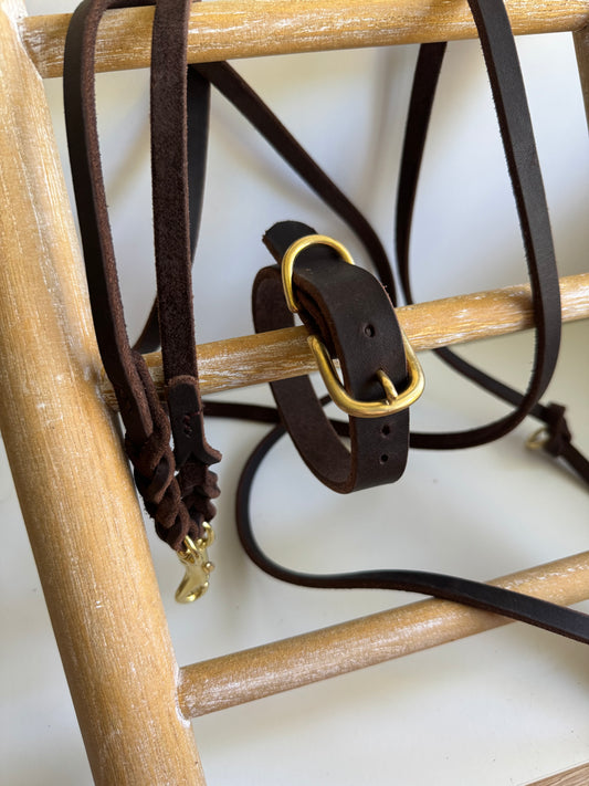 Fettleder Halsband basic