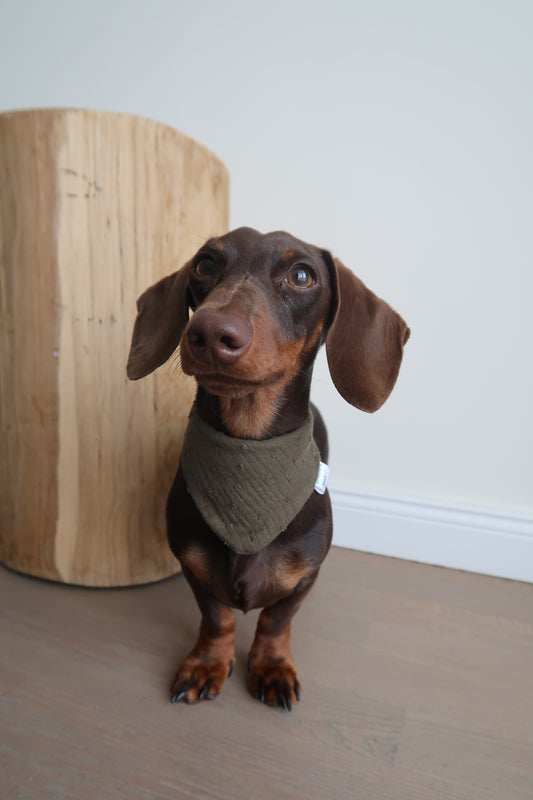 Musselin Halstuch KHAKI DOTS