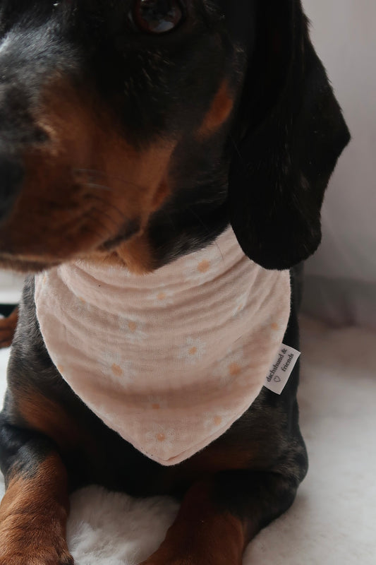 Musselin Halstuch DAISY