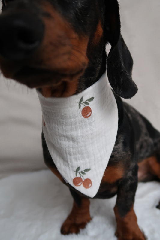 Musselin Halstuch MALI