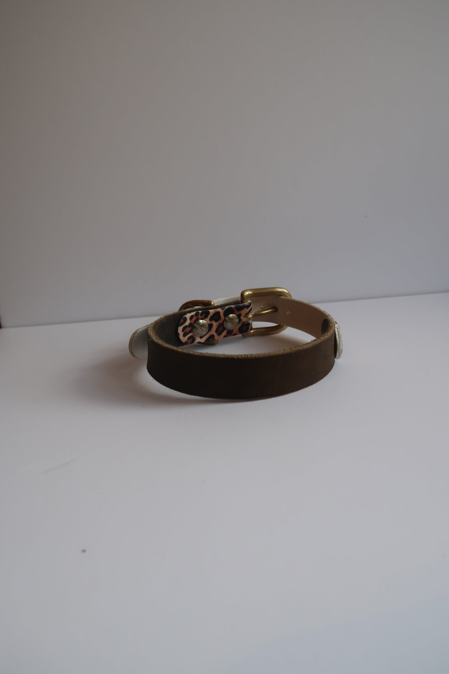 LEO x Fettleder Halsband