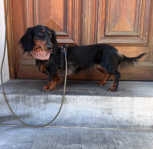 Musselin Halstuch LEO BRAUN