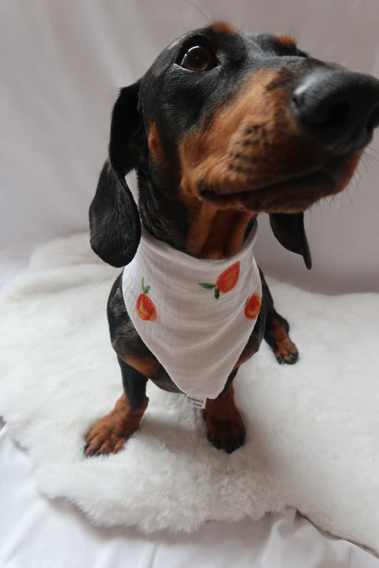 Musselin Halstuch PEACH