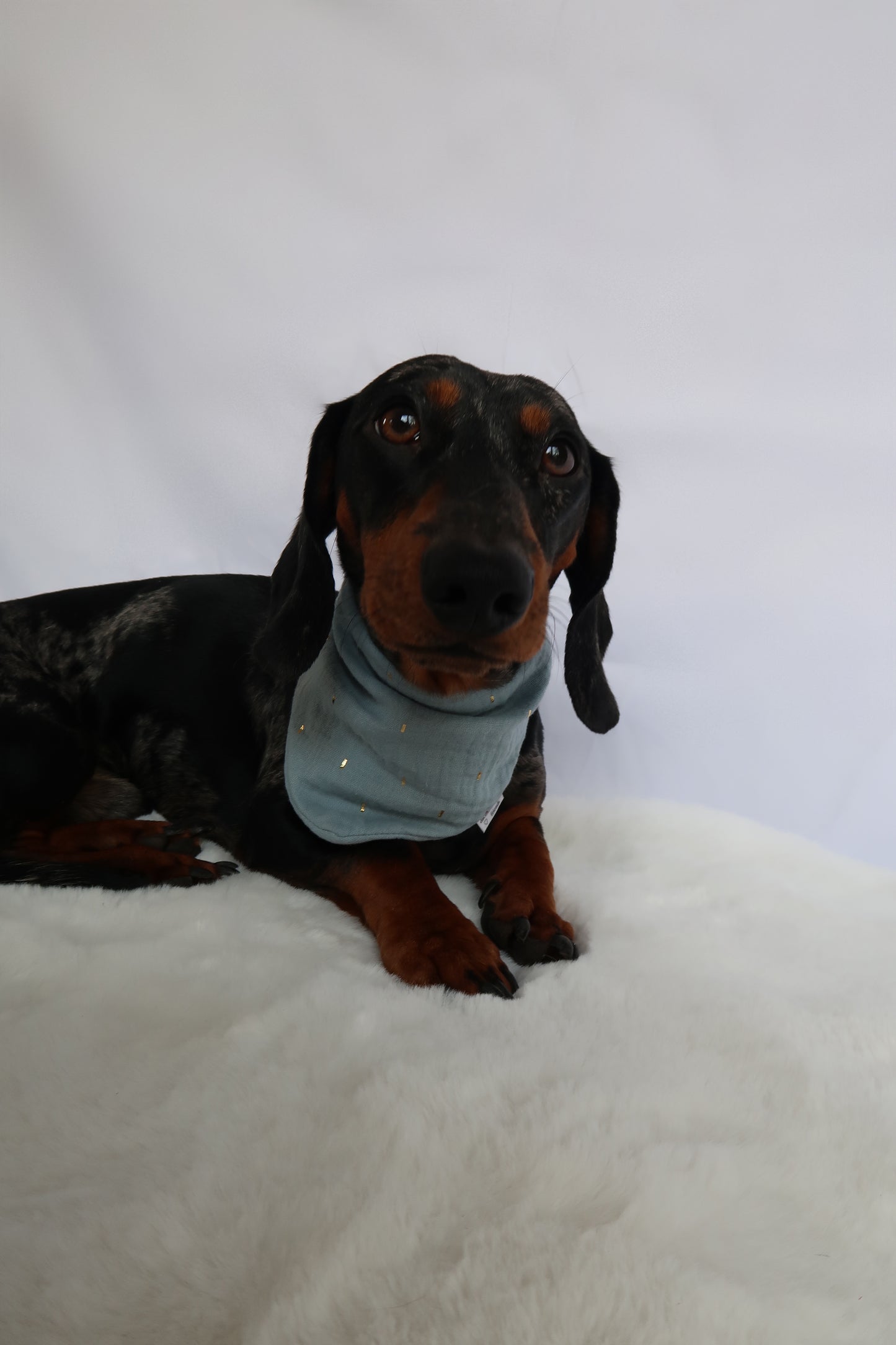 Musselin Halstuch LOLA