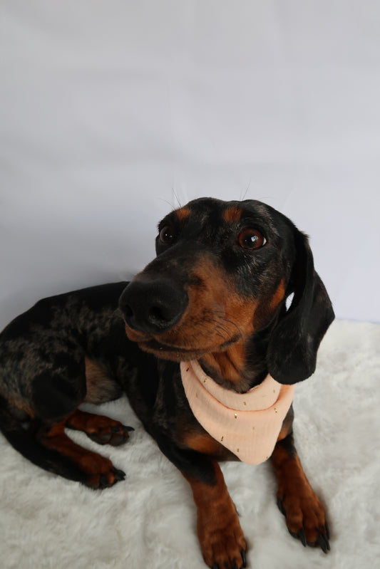 Musselin Halstuch EMILY