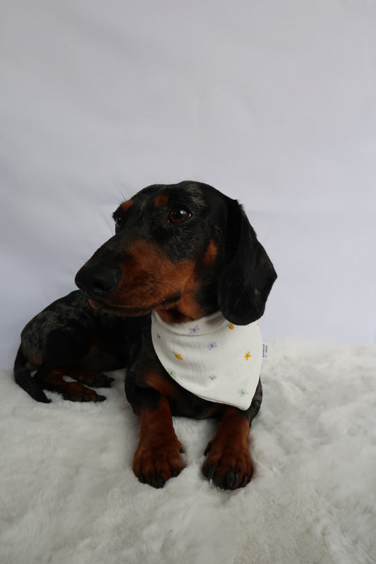 Musselin Halstuch LIA