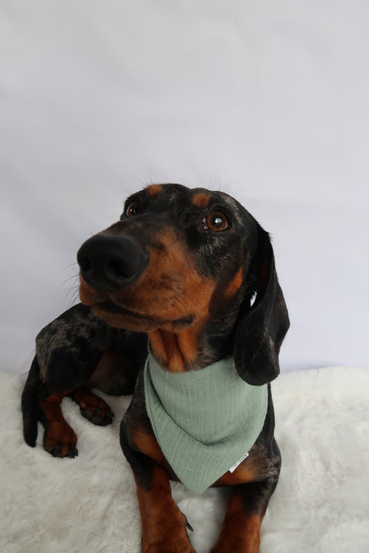 Musselin Halstuch MINT GOLDEN DOTS