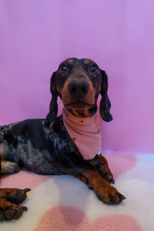 Musselin Halstuch Leia