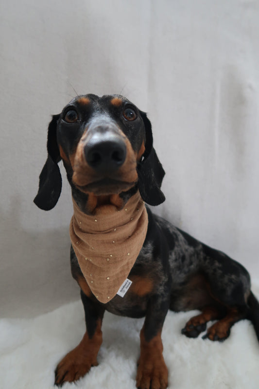 Musselin Halstuch BROWN GOLDEN DOTS