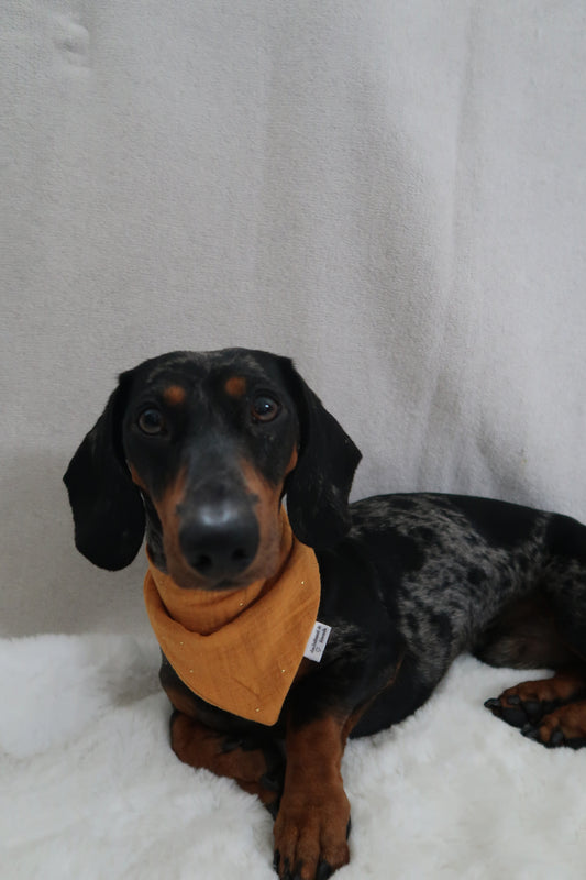 Musselin Halstuch YELLOW GOLDEN DOTS