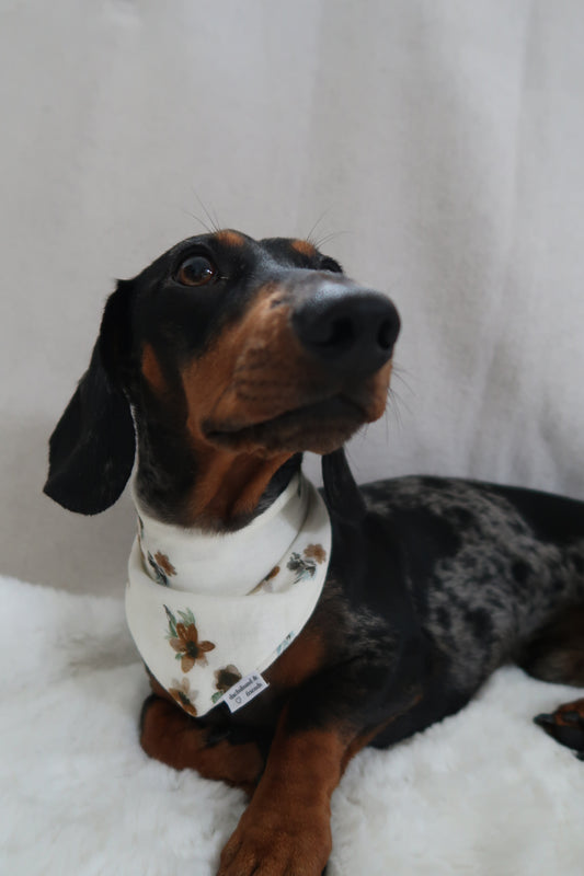 Musselin Halstuch MONE