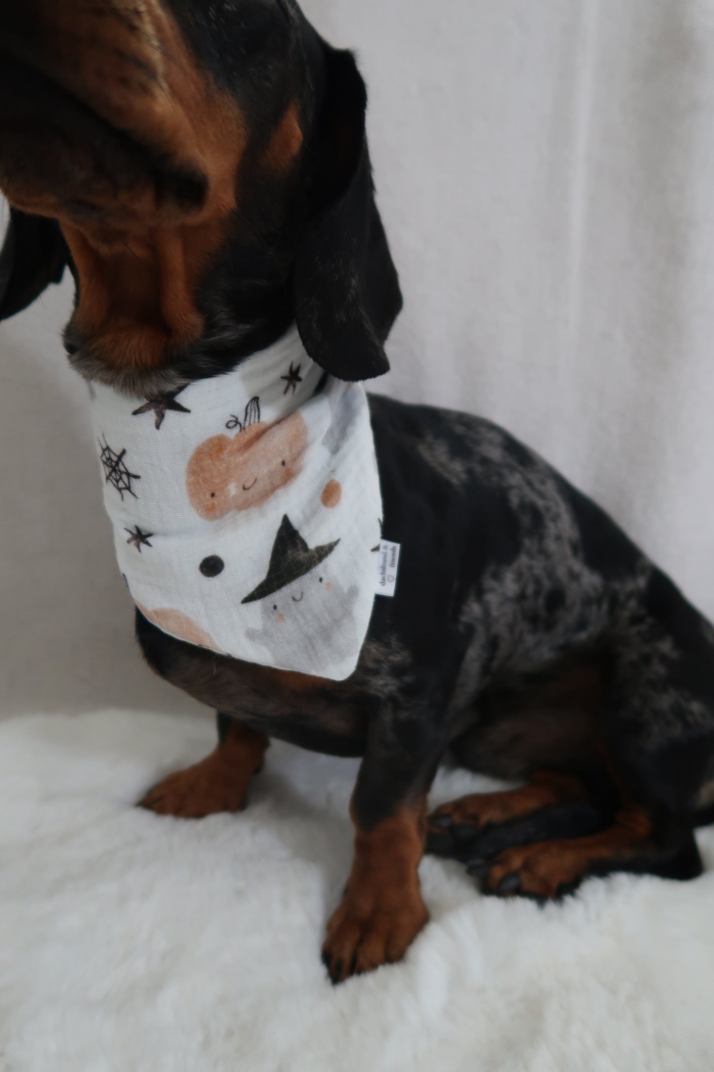 Musselinhalstuch SPOOKY