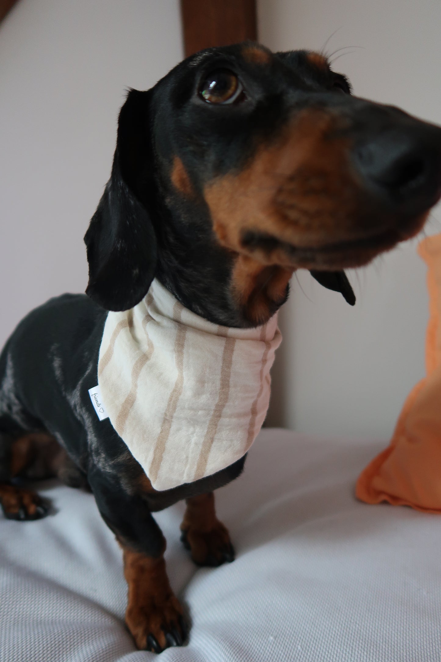 Musselin Halstuch MILOW