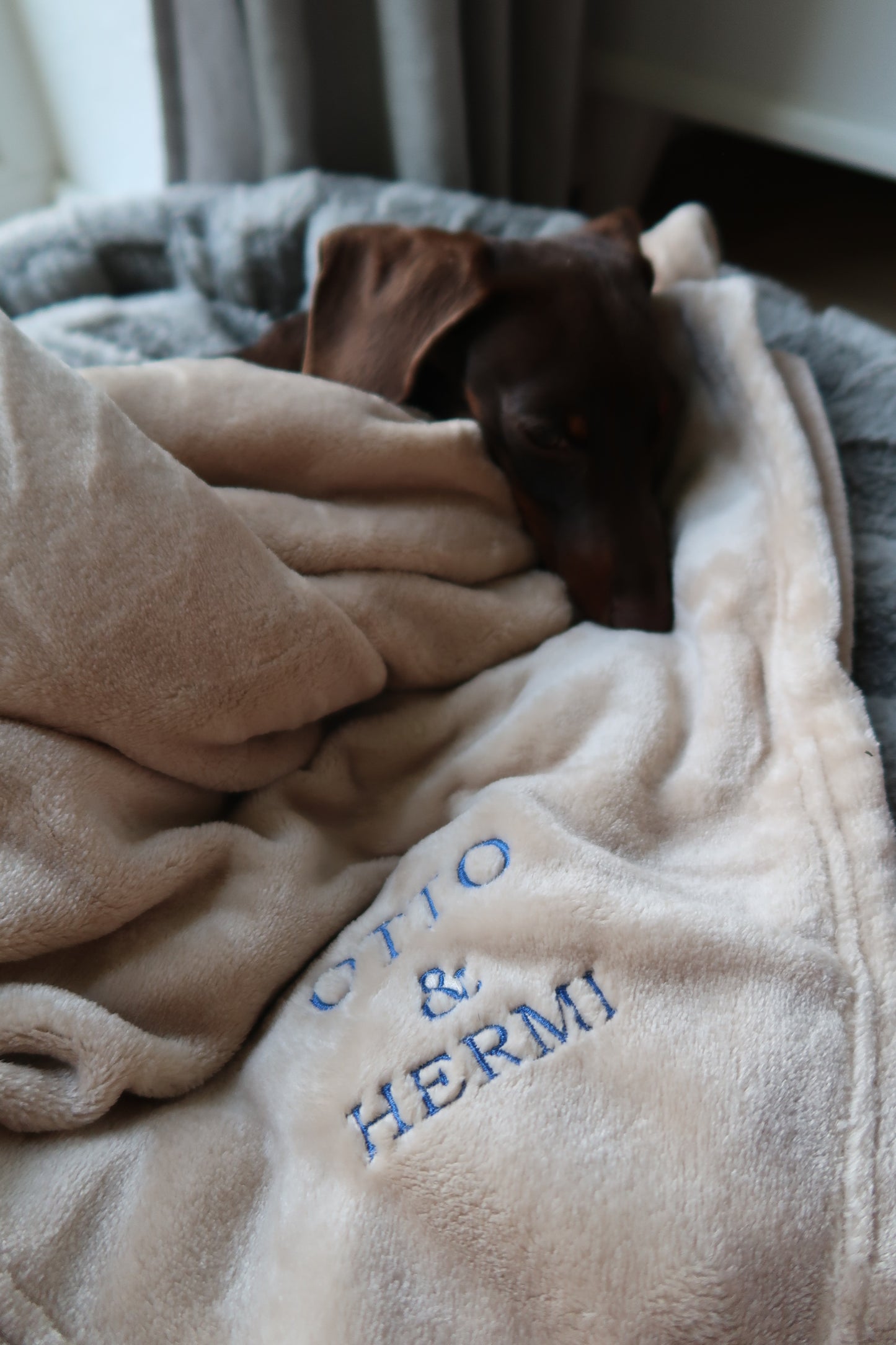 Kuscheldecke LEO personalisiert LE