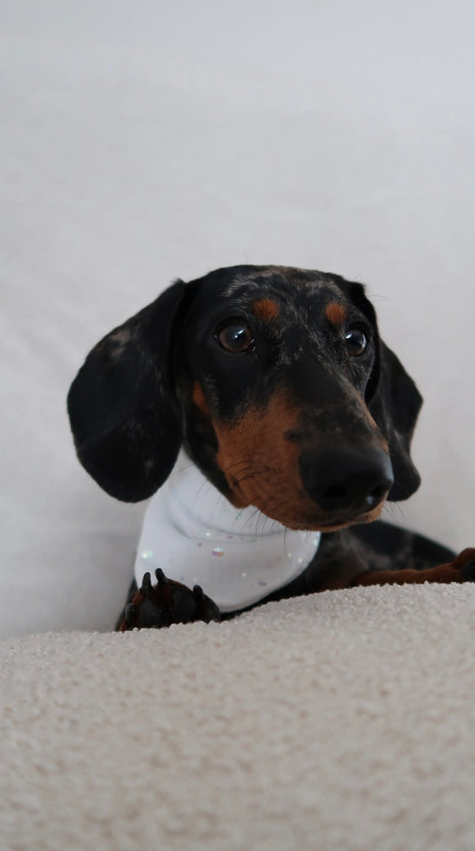 Musselin Halstuch HOLLY