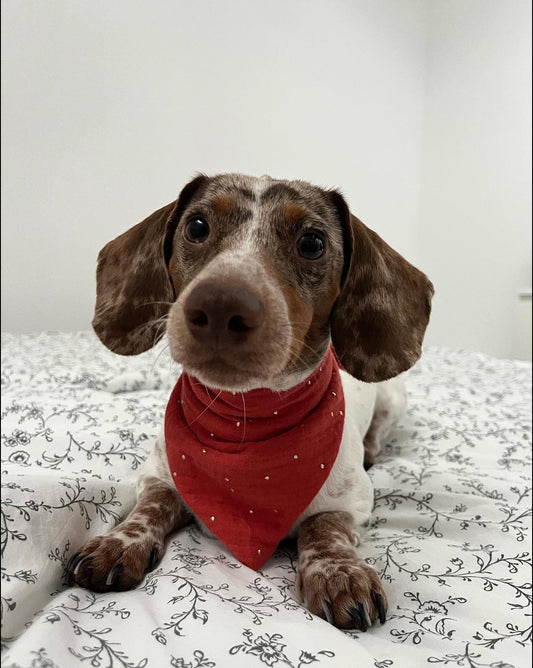 Musselin Halstuch ORANGE DOTS