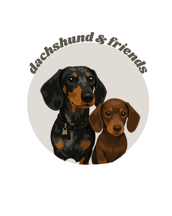 Dachshundandfriends