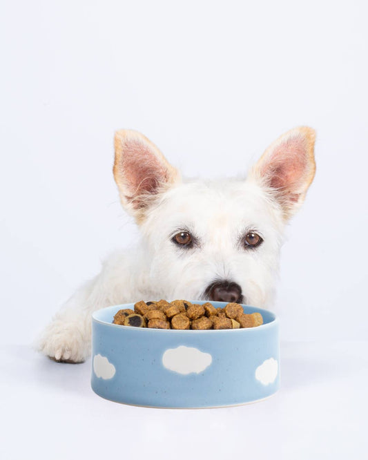 EGG BACK HOME - Cloud Näpfe Set