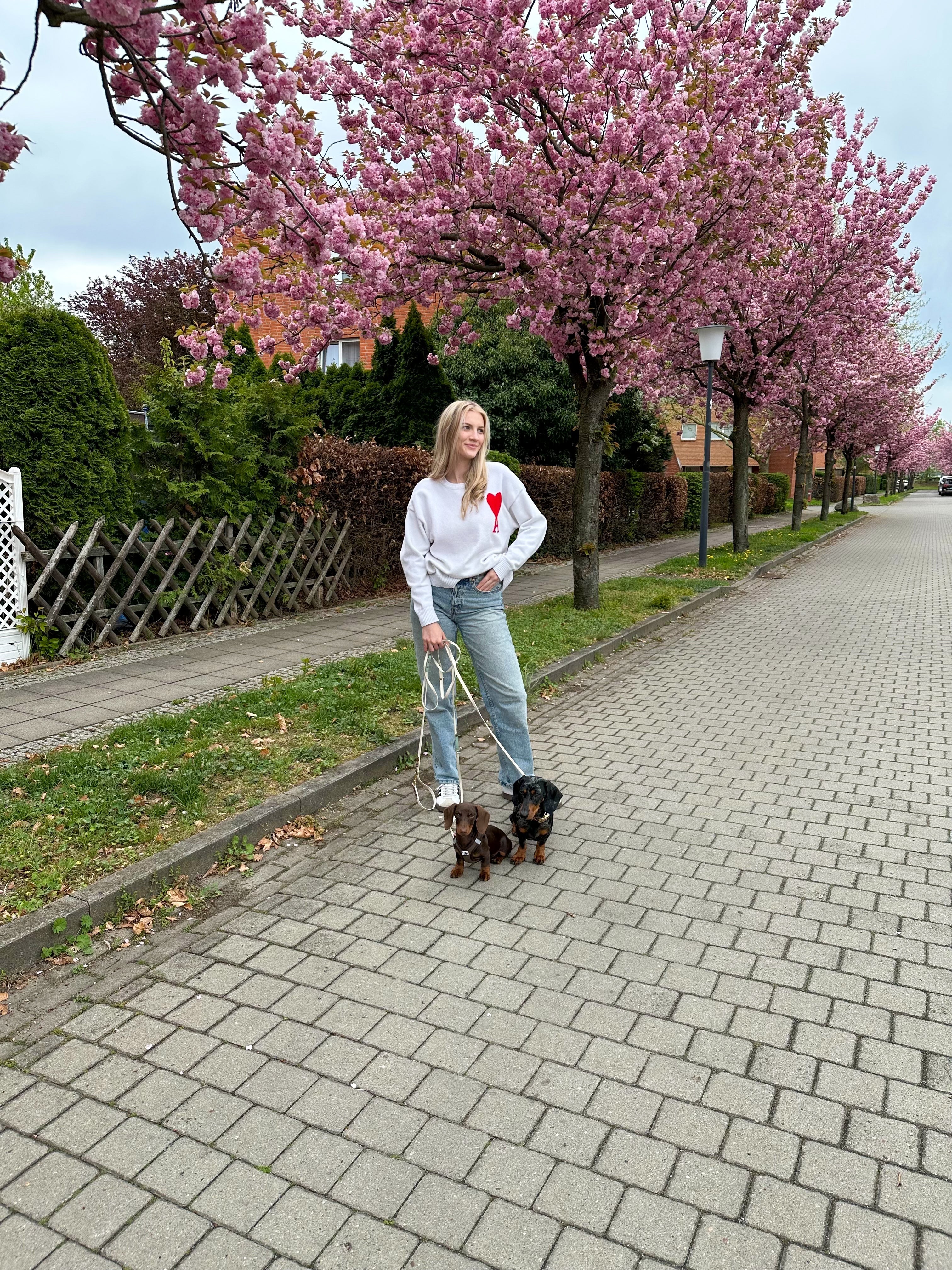 Mehr als ein Hundeshop – die Geschichte hinter dachshund&friends
