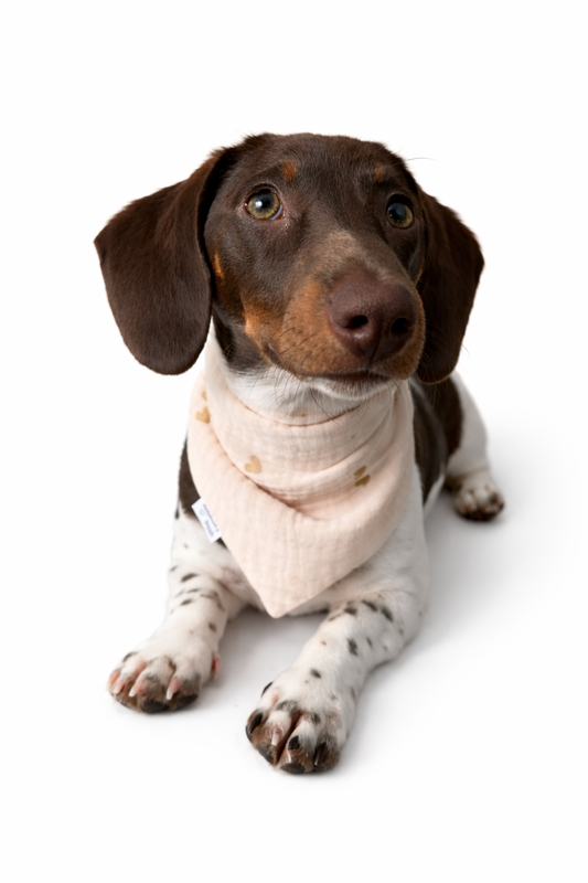 Musselin Halstuch BEIGE HEARTS