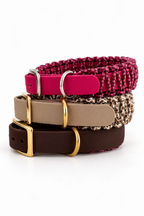 Paracord x Biothane® Halsband - FALL EDITION