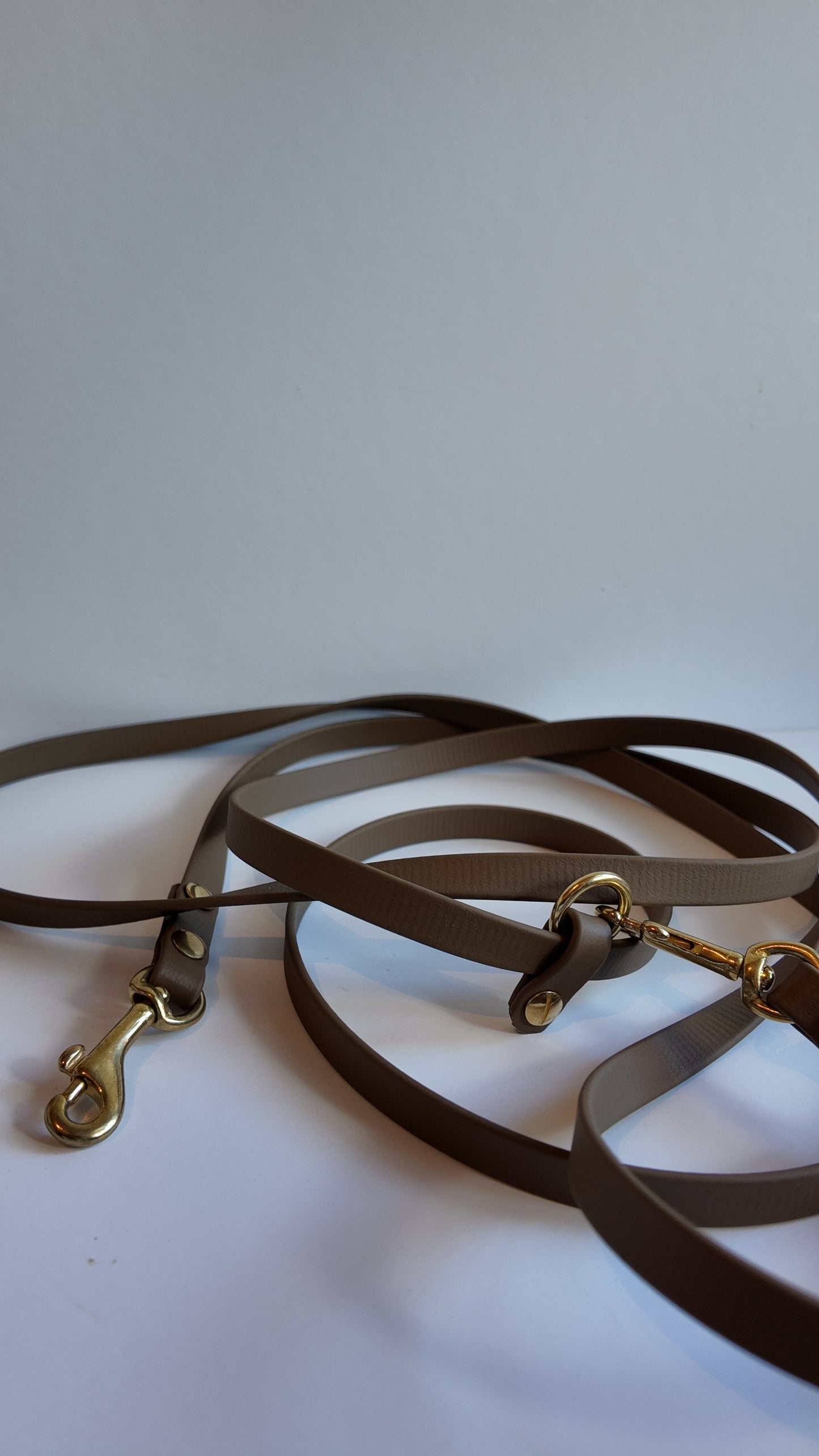 Basic BioThane Leine