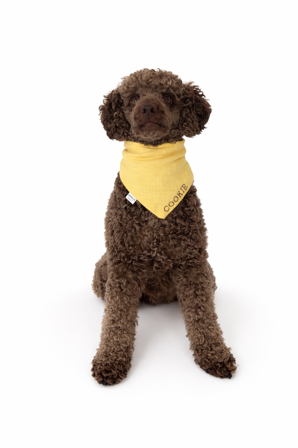 Musselin Halstuch BASIC