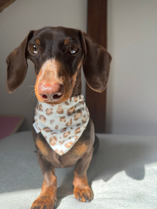 Musselin Halstuch BROWN LEO