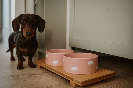 Napfbar Bambus Leimholz